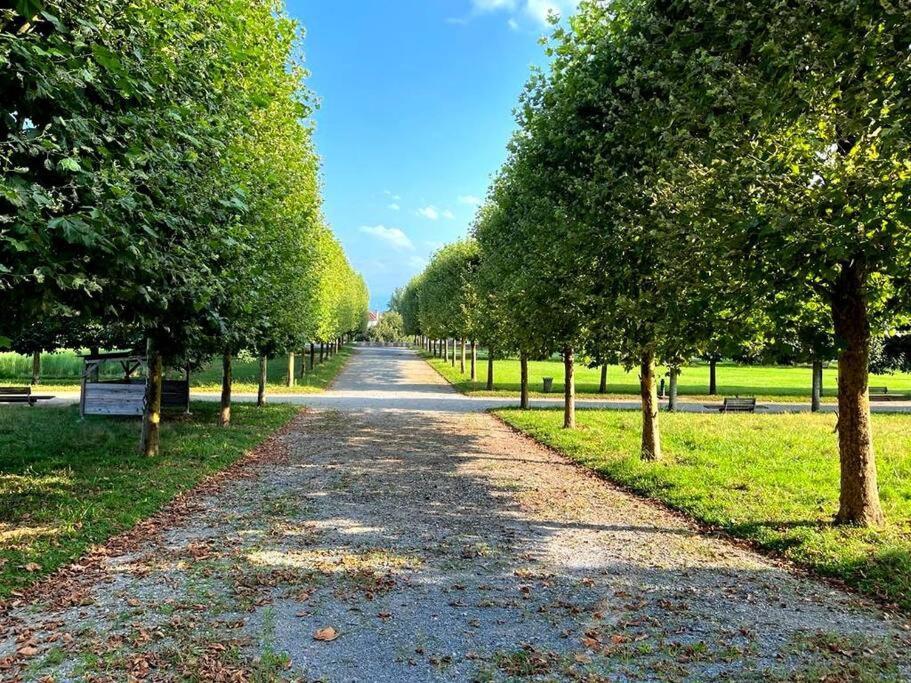 Pau Centre Vue Sur Les Pyrenees Pour 2 Nuits Au Minimum Apartment Ngoại thất bức ảnh